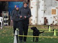 SAM_1811_a