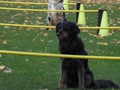 SAM_1823_a