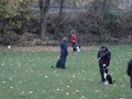 SAM_1843