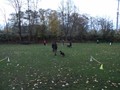 SAM_1861