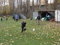 SAM_1896