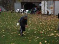 SAM_1903