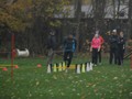 SAM_1922_a