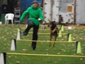 SAM_2000_a