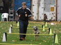SAM_2001_a