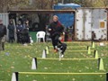 SAM_2003_a