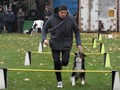 SAM_2005_a