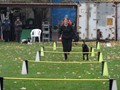 SAM_2007_a