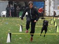 SAM_2008_a