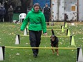 SAM_2011_a