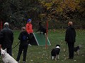 SAM_2014