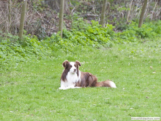 bh_april_2013_18