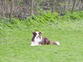 bh_april_2013_18