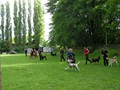 SAM_2369