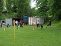 SAM_2380