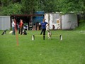 SAM_2383