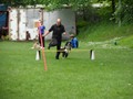 SAM_2392