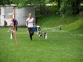 SAM_2394