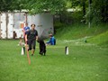 SAM_2396