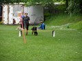 SAM_2398