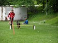 SAM_2399