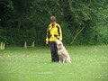 SAM_2494