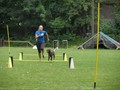 SAM_2570