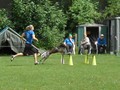 SAM_2575
