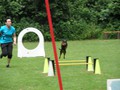 SAM_2578