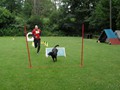 SAM_2579