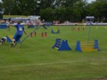 110_jcsc_me_22