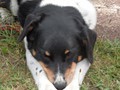 163_SAM_0245