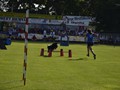 97_csc_dh_4