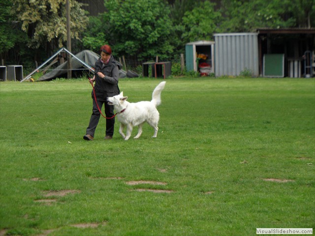 SAM_0178
