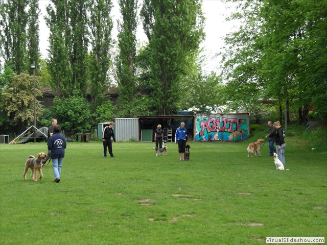 SAM_0182