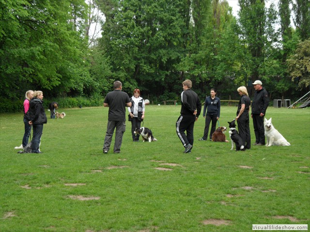 SAM_0185
