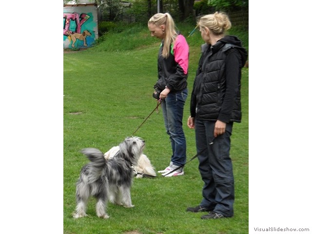 SAM_0193_2