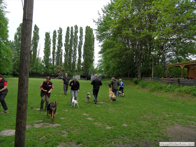 SAM_0196