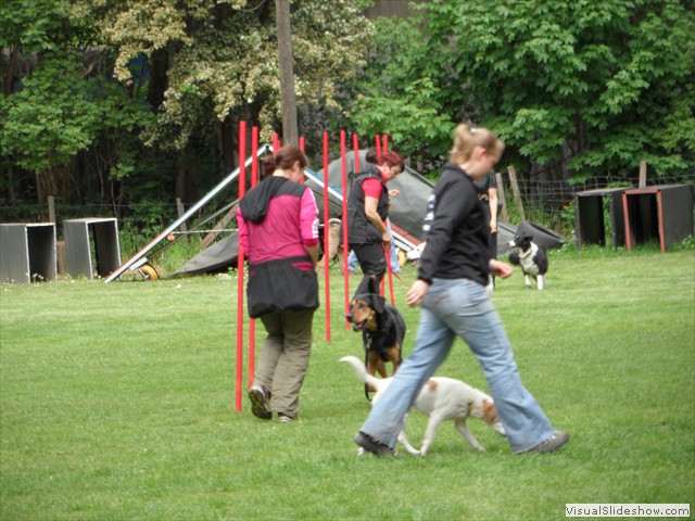SAM_0204
