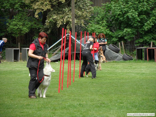 SAM_0206