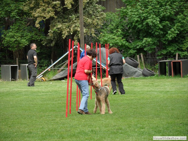SAM_0208