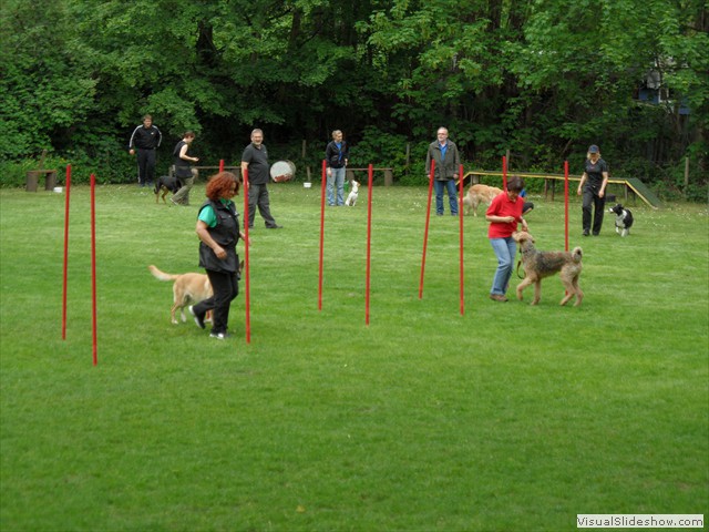 SAM_0220