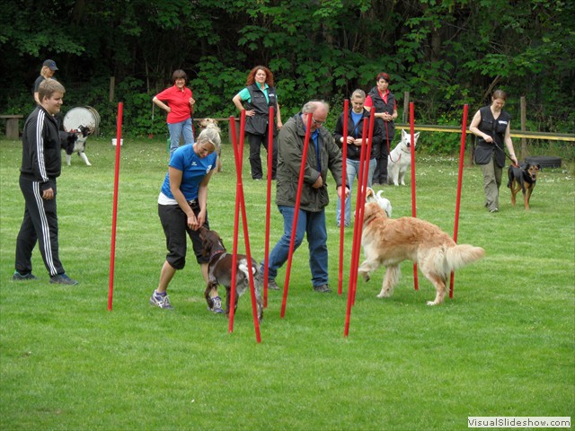 SAM_0225