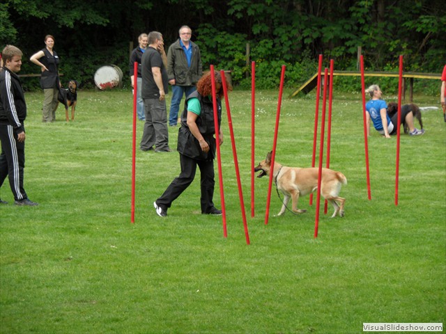 SAM_0232