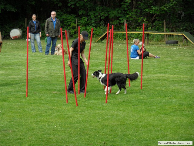 SAM_0236