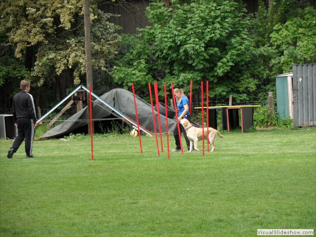 SAM_0273