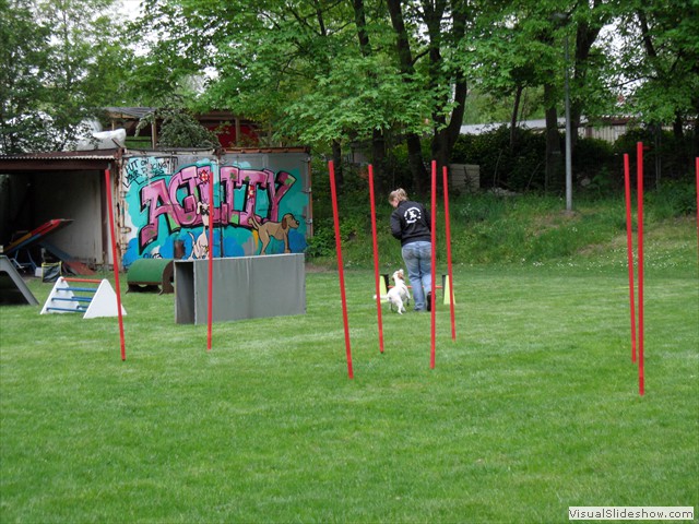 SAM_0279