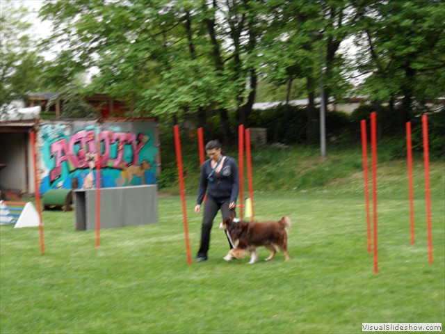 SAM_0282