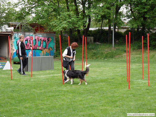 SAM_0288
