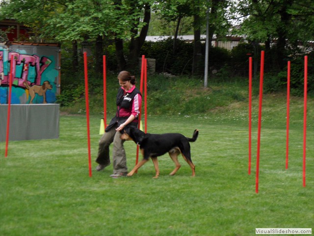 SAM_0293